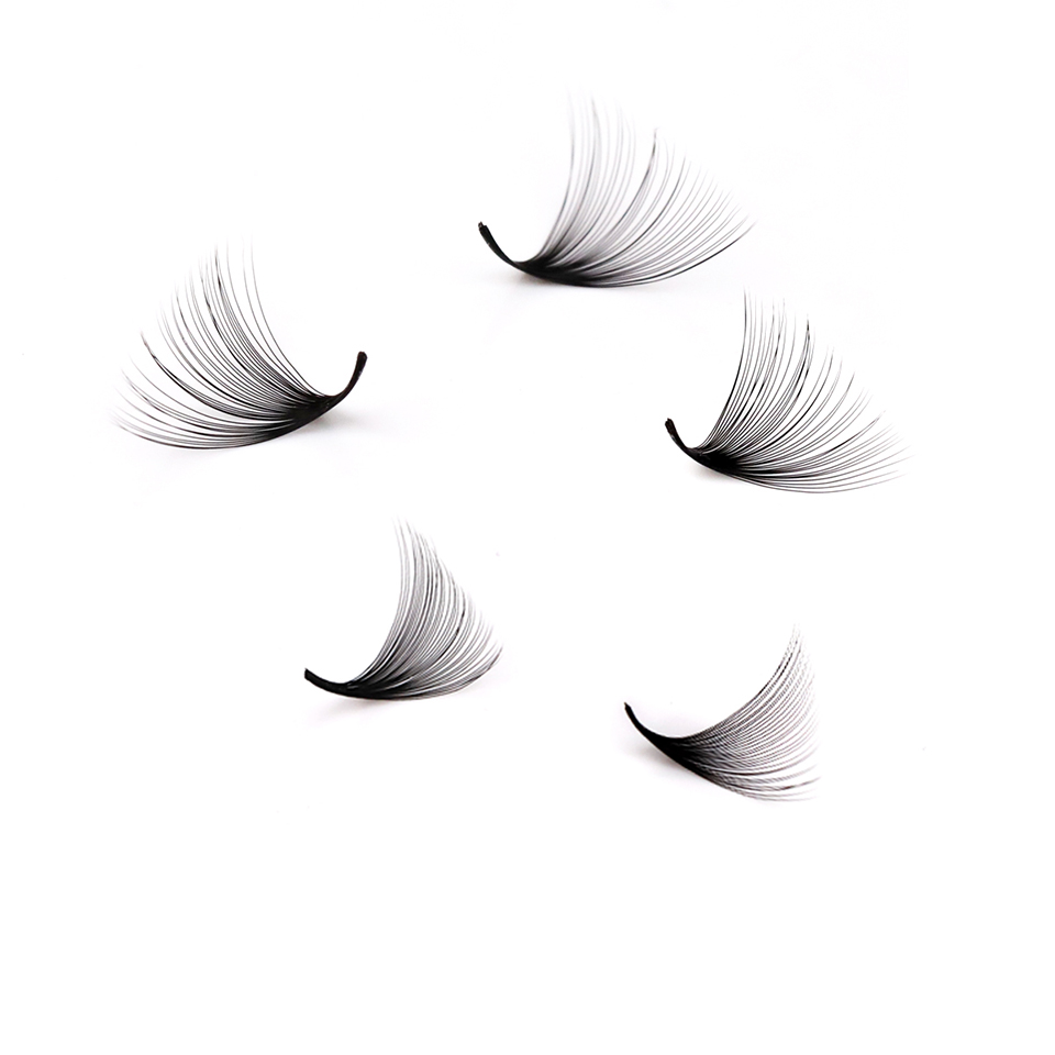 Lashprofessor XL Tray رموش مرو - مراجعة Eyelash Extension Russian Volume وسعره