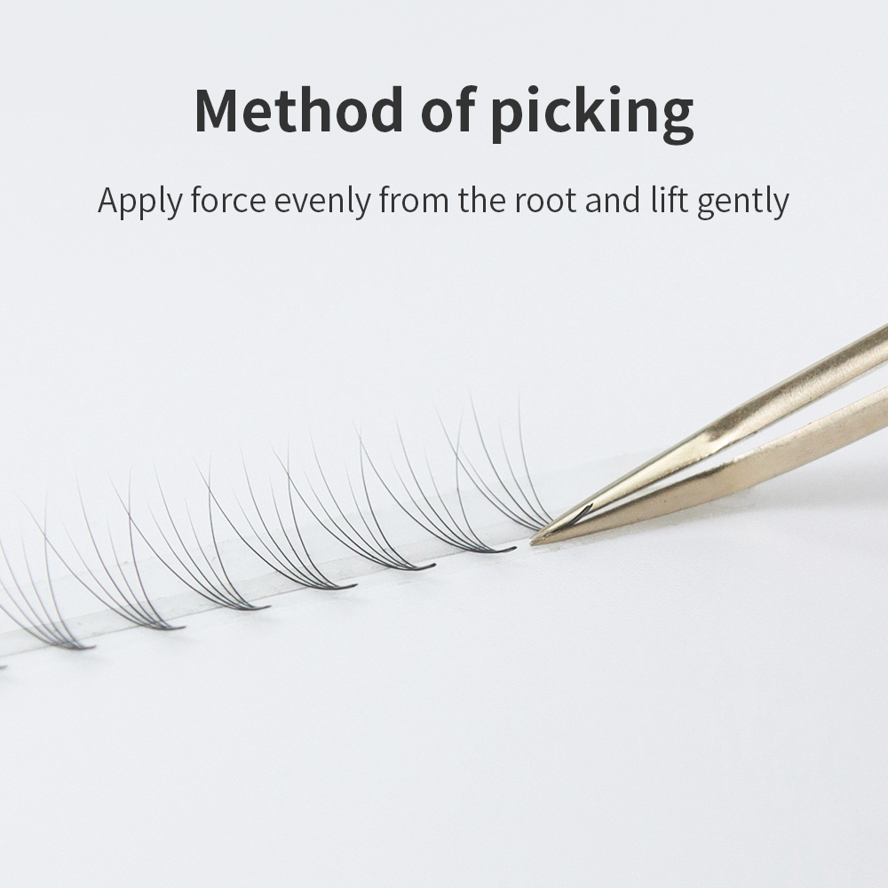 GLAMLASH رموش حجم مروحة مسبقة  - مراجعة Eyelash Extension Mega Volume وسعره